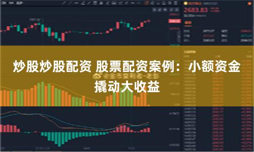 炒股炒股配资 股票配资案例:小额资金撬动大收益