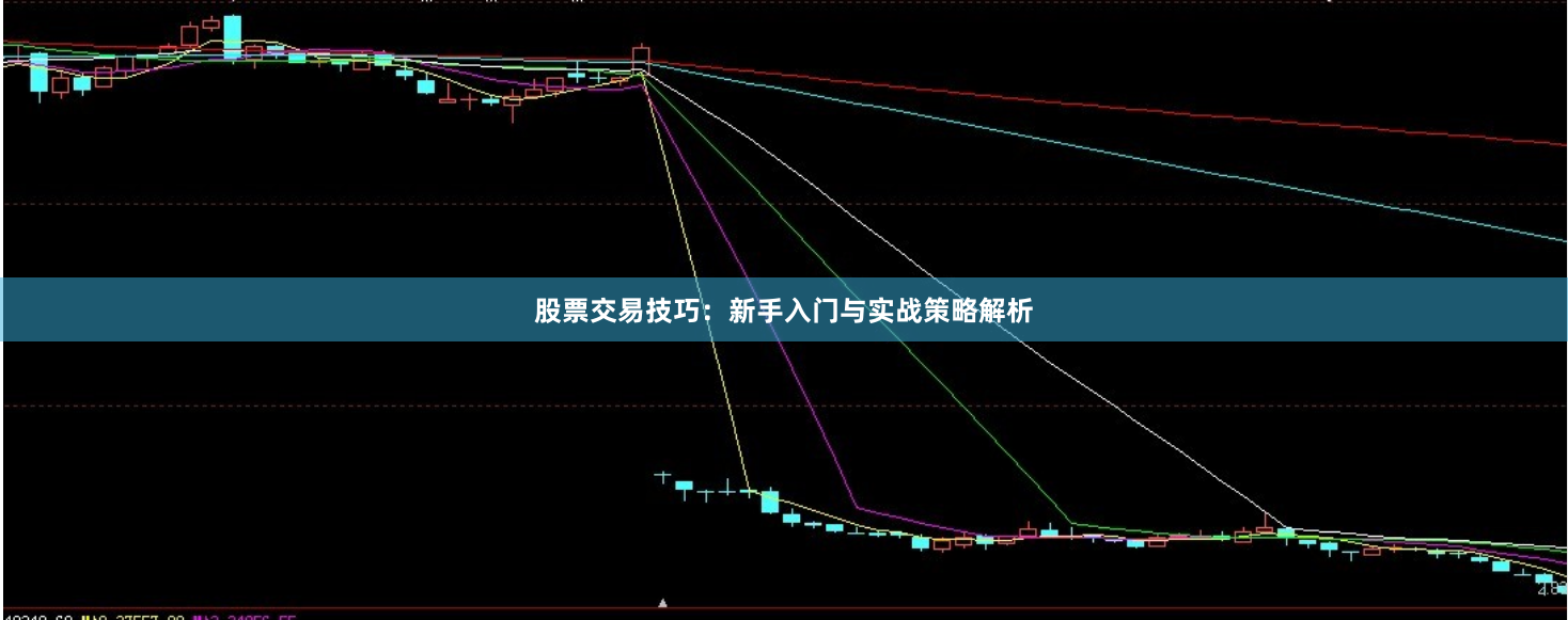 股票交易技巧：新手入门与实战策略解析