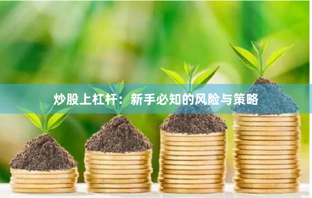 炒股上杠杆：新手必知的风险与策略